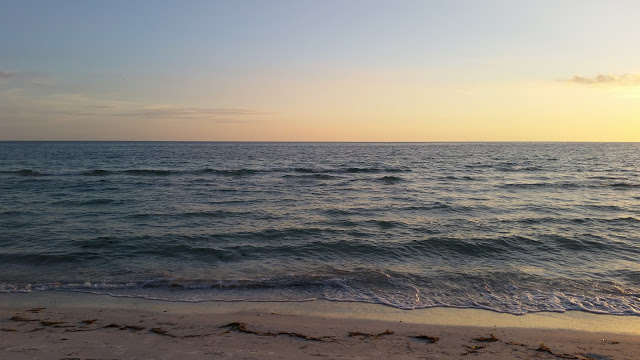 How to Find Ancestors on Family Search Website