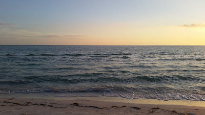 Digitized Yauco Church Records Available Online