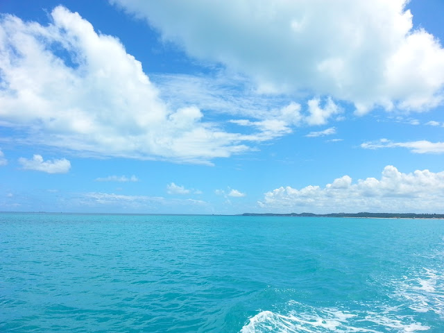 Dominica Church Records 1869 to 1934