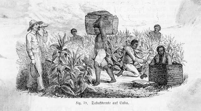 Matanzas Province Church Records